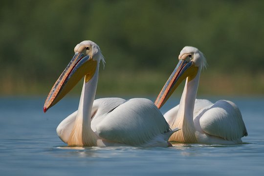 Tour image 7